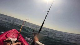 Поймал акулу на спиннинг